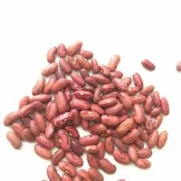 Kacang Merah 1 kg