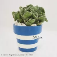 Pot Clay Stripe Big Size (PTB-26)