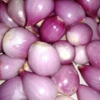 Bawang merah kupas