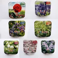 Mama Garden / Creative Products Happy Farm/ Benih Bunga Taman Berkebun