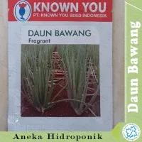 Biji Bibit Benih Daun Bawang, FRAGRANT, Known You Seed