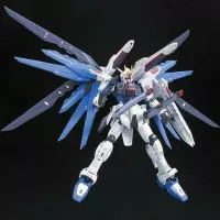 Gundam RG 1/144 Freedom / Gunpla Real Grade