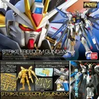 Gundam RG 1/144 Strike Freedom / Gunpla Real Grade