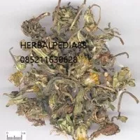 pu gong ying ??? Taraxaci Herba/Teh Dandelion Premium 600 gram