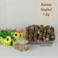 Kurma Naghal 1 Kg / Grosir Kurma Murah Nagal / Dates / Oleh Oleh Haji