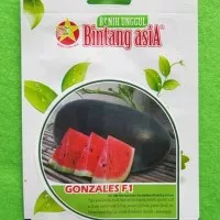 Benih Biji Semangka Hibrida GONZALES F1 Pack - Bintang Asia