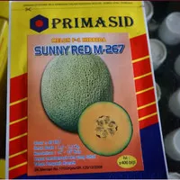 Benih Melon F1 Hibrida Sunny Red M-267