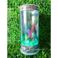 Aquarium Mini Murah dengan Lampu LED Type V3