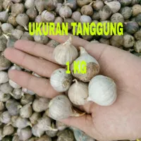Bawang putih lanang/bawang putih tunggal 1kg