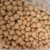 Kacang atom/kacang oven