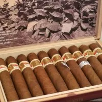 Cerutu BIN Cigar Premium Boslucks Robusto Cigar Per Batang