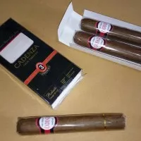 Cerutu Cadenza Robusto, Cadenza Robusto Cigar, Cerutu Premium, Export