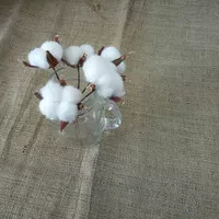 Bunga Kapas/ Cotton Flower Handmade