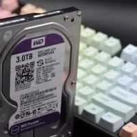 HDD Internal 3.5" WD Purple 3TB - WD30PURZ