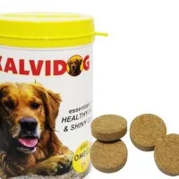 Kalvidog Ecer 1 Tablet - Vitamin Anjing