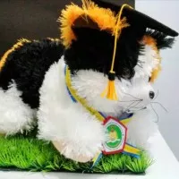 Boneka Wisuda Kucing Besar P:30cm T:25cm