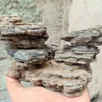 Batu Suiseki Batu Besi Aquascape
