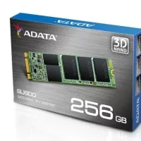 M.2 SSD ADATA Ultimate SU800 256GB 3D-NAND R=560 MBps W=520MBps
