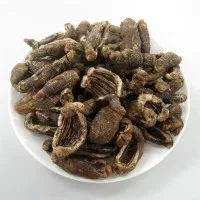 Keripik Teripang / Tripang / Timun Laut 100 gram