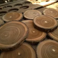 Wood slice tatakan kayu jati diameter 14-15 cm / potongan kayu Jati