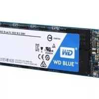 WD SSD BLUE 500GB / M.2 2280 SATA SSD / 3D NAND SSD / 5 years warranty