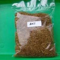 tembakau bali/mole 50 gram