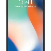 iPhone X 256GB