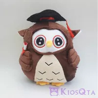 boneka wisuda burung hantu owl graduation