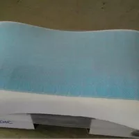 ORIGINAL !! BANTAL THERAPEDIC ANATOMIC MEMORY COOLING GEL