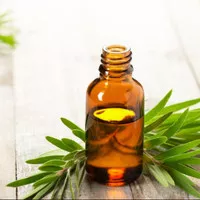 TEA TREE OIL 100% original pure / 10ml essential oil anti acne