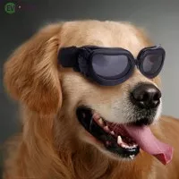 Sunglasses Goggles Sun Glasses Eye Protection Puppy Anti-UV Brand New