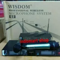 Mic wireless Wisdom Q2 ( Handheld )