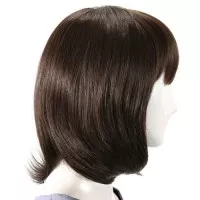 New Virgin Remy Mono Top Full Bang Straight Capless Human Hair