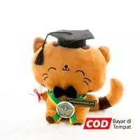 Boneka Wisuda Cat Choco Kucing S