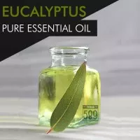Eucalyptus Oil (Globulus) / Minyak Ekaliptus - Pure Essential Oil -5mL