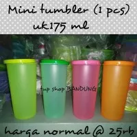mini tumbler (1 pcs)