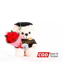 Boneka Wisuda Teddy Bear Coklat Mini 15cm + Buket Bunga Flanel