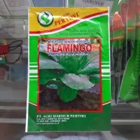 Benih Sawi Sendok / Pakcoy Hibrida F1 FLAMINGGO 10gram