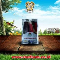 Benih Jagung Ungu IPB J2 5 Pcs - Star Farm