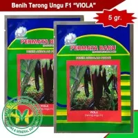 Benih Terong ungu F1 VIOLA