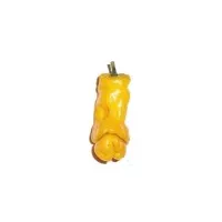 Benih Cabe peter(porno) kuning/ Yellow Peter(porn) pepper (import)