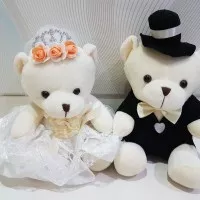 boneka teddy bear wedding couple