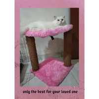 Rumah Kucing Cat Condo Cat Tree Garukan Kucing Mainan Kucing Scratcher