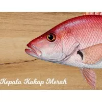 Kepala Ikan Kakap Merah / Red Snapper Fish Head untuk Gulai Padang