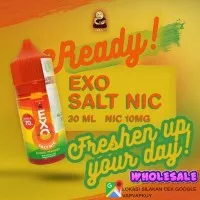 premium liquid exo Salt Nic 30ml 10mg mango by monk