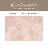 Blossom - Circle of Life - BambiniProps Newborn Photography Backdrop