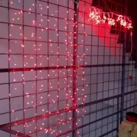 Lampu Tirai 2x2Meter/Hias Gorden/Lampu Natal/Lampu Dekorasi Led Merah