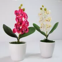 Bunga Anggrek Mini 003 - Termasuk Vas Bunga - Pajangan Bunga