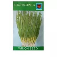 Winon Seed Benih Bawang Daun ( Bunching Onion )