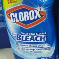 Clorox Toilet bowl cleaner with bleach709ml